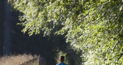 Csak a kezdet nehéz