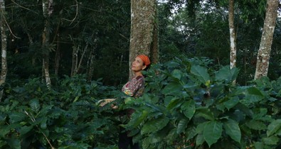 „A környezettudatos életmód nem jár áldozatokkal” - exkluzív interjú Ruth Andrade környezetvédelmi stratégiai vezetővel