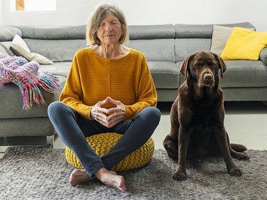 Stressz, szorongás, magány? Egy háziállat lehet a titkos megoldás a mentális egészségedért