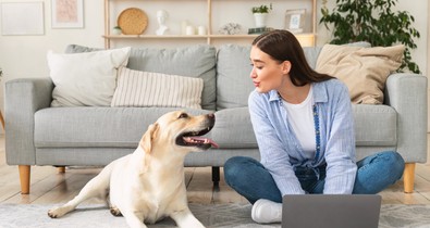 Mutasd a személyiséged - megmondjuk, milyen állat illik hozzád!