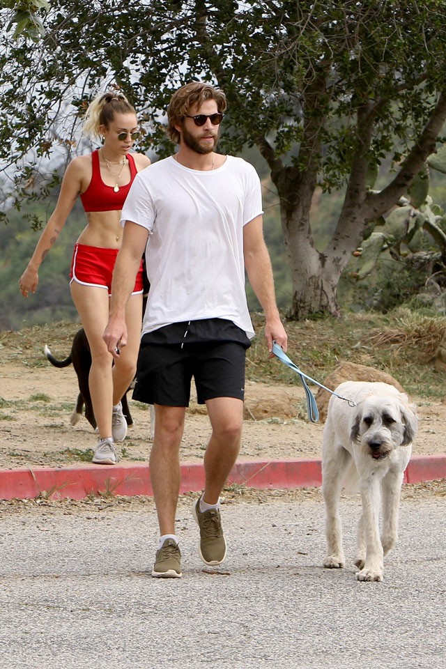Miley Cyrus Liam Hemsworth