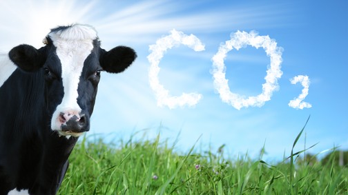 A magyar vásárlókat egyelőre nem érdekli az élelmiszerek ökotudatossága