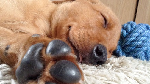 Csak egyetlen dolog, amitől sokkal jobban fogsz aludni!