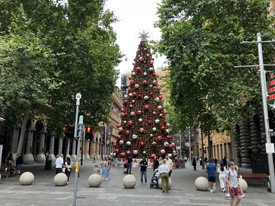 Az ausztrál karácsony egy képen: rövidnadrágos emberek és a központi fenyőfa