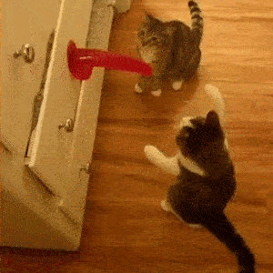 Csak néhány GIF, amit értékelni fogsz, ha egyedül töltöd a Valentin-napot