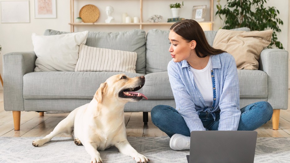 Ilyen állat illik hozzád a személyiséged alapján