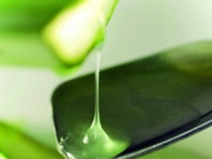 Bizarr: Szépülj csiganyálkával!