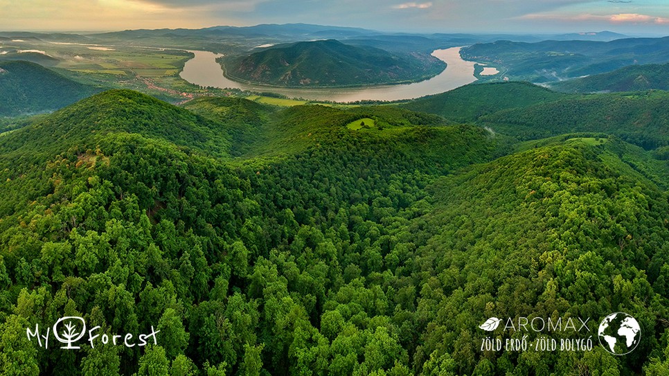 Tedd élhetőbbé otthonod és a bolygót!