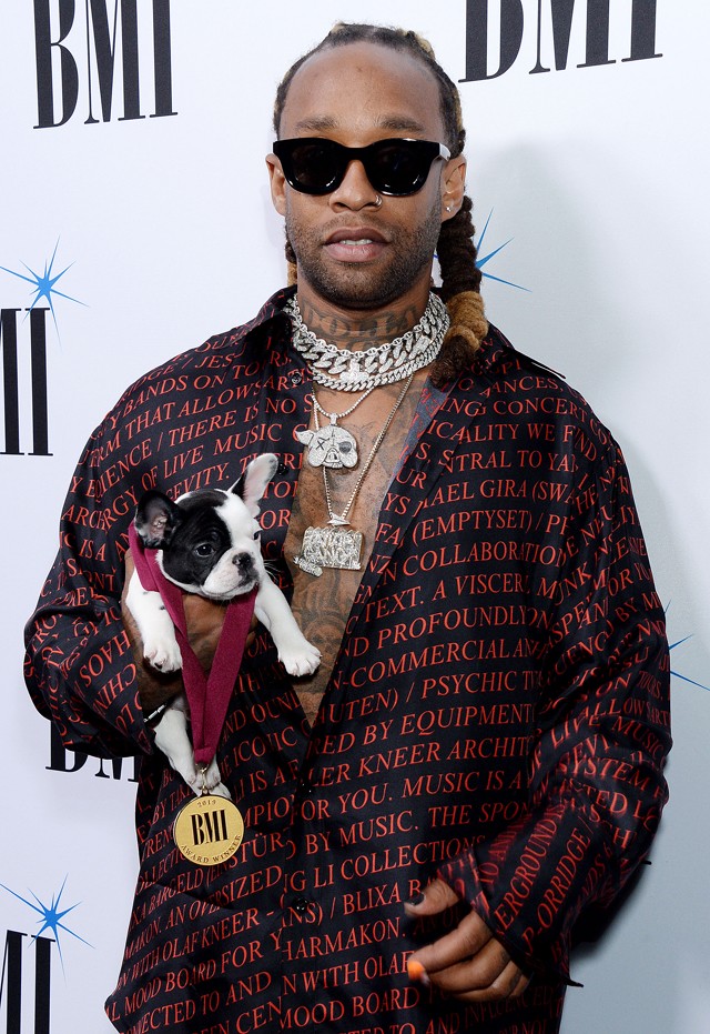 Állatokkal pózolni a vörös szőnyegen, és feldíszített kutyákkal parádézni a kifutón? Ez nincs rendben