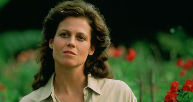 Ez történik, ha egy terapeuta a dzsungelbe megy - Dian Fossey gorillák között talált otthonra