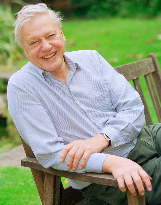 David Attenborough regisztrált Instagramra és Jennifer Aniston rekordját is megdöntötte