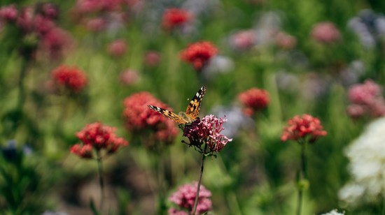 Csodás helyen, egy városi oázisban próbálhattuk ki a Samsung legújabb okos eszközeit