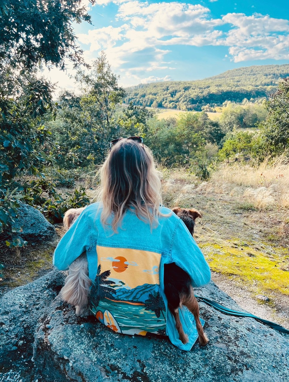 Fedezd fel a kőtengert a kutyáiddal, ők is imádni fogják!