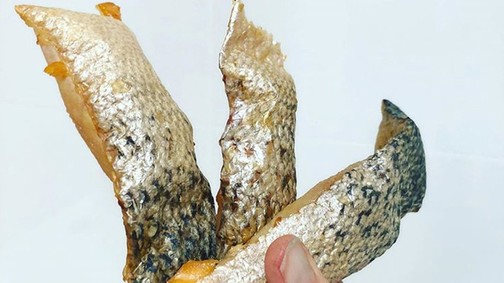 Hogy micsoda? A halbőr lesz a jövő anyaga!