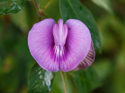 Ezt sosem szabadna megtenned a vagináddal: mégis trendnek számít... 