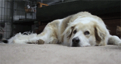 7 módszer, hogy könnyebben legyőzd a haragod