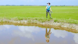 Már egy kerti tó is sokat számít a klímaváltozás szempontjából