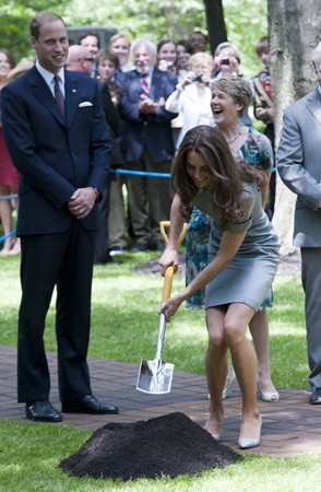 Jól áll neki a lapát, és végre kiderül, mit is csinál Vilmos! Szemmel láthatóan beletanult a tökéletes férj szerepébe: az asszony dolgozik, ő pedig mosolyogva növeszti a haját.