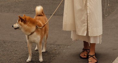 10 nyári papucs és szandál, ami egyszerűen minden stílushoz passzol
