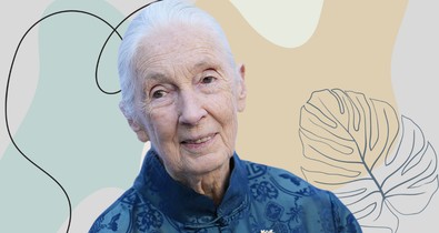Mit tanulhatunk 2025-ben Jane Goodalltól? Többet, mint hinnéd!