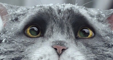 Ez 2015 legmeghatóbb karácsonyi filmje