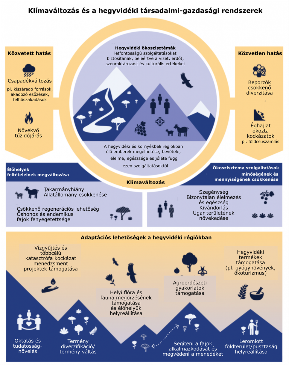 A klímaváltozás hatásai a hegyvidéki társadalmi és ökológiai rendszerekre, beleértve az ökoszisztéma szolgáltatásokat és termékeket, az emberek megélhetését és az adaptációs lehetőségek példáit, amik a közvetlen és közvetett hatásokat célozzák. Forrás: IPCC AR6, WG II. A szerző fordítása.