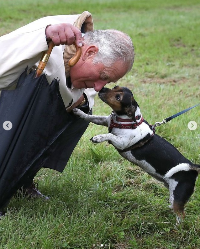 Károly király és Beth nagyon szerették egymást
