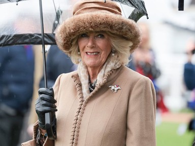 Feltűnik valami furcsa Kamilla királyné ruháján? 