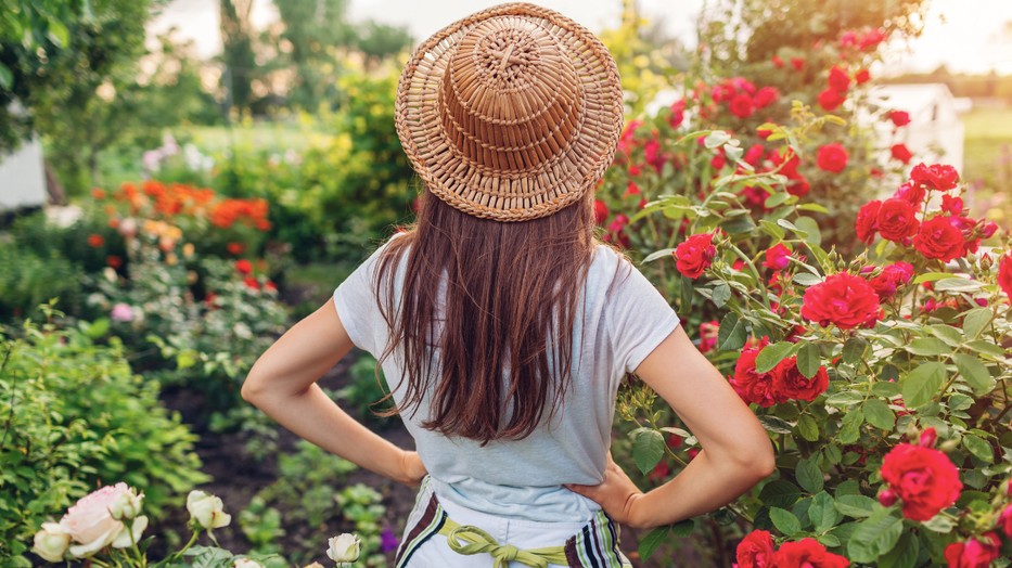 Nagyon könnyű elrontani kertünk tervezését