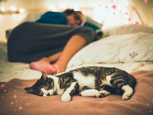 Nincs több álmatlan éjszaka: ettől az egyszerű skandináv trükktől úgy alszol majd, mint a bunda