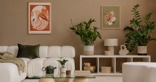 6 beltéri festékszín, ami növelheti az otthonod értékét