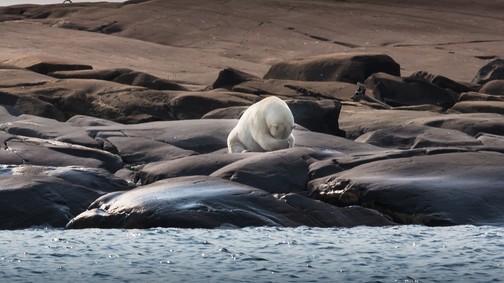Bár csökkent tavaly a kibocsátás, a felmelegedés folytatódott