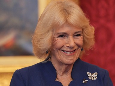 Kamilla királyné merész színválasztása szinte már arcpirító, mégis gyönyörűen festett benne