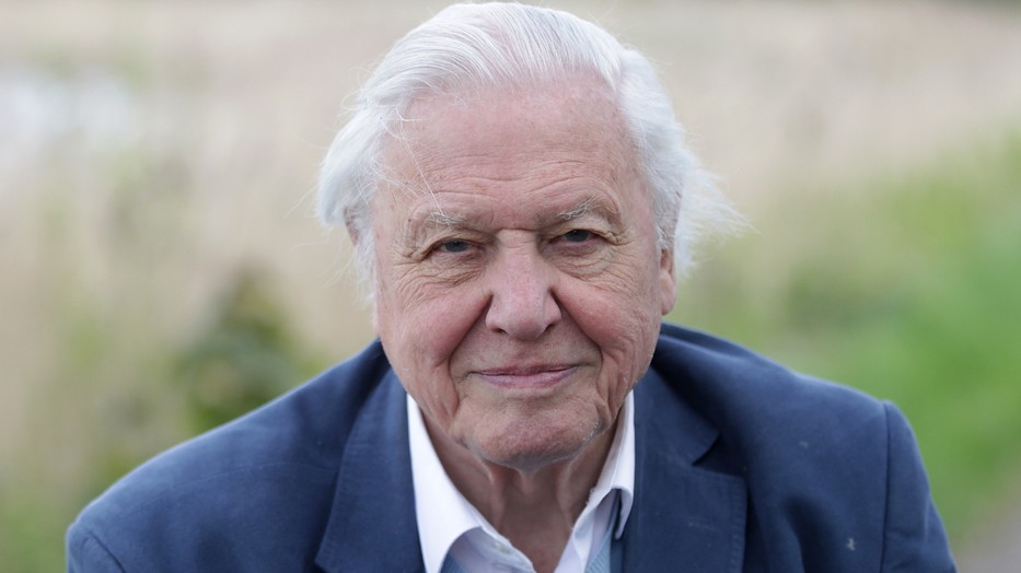 Sir David Attenborough munkássága felbecsülhetetlen, a dokumentumfilm ikonikus alakja ma ünnepli 100. születésnapját