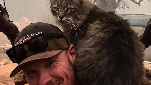 A kaliforniai erdőtűz leghálásabb túlélője: elolvadtunk a cica reakciójától