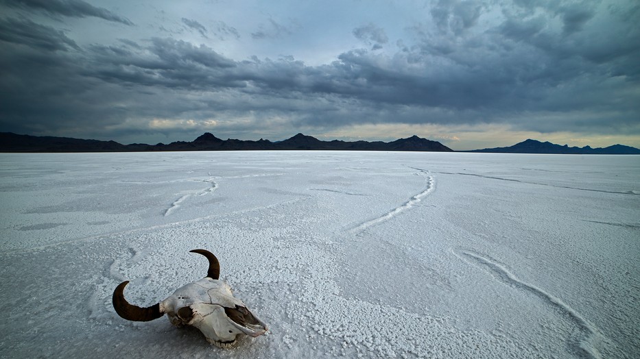 Fizikailag és mentálisan is belerokkanhatunk a klímaváltozásba