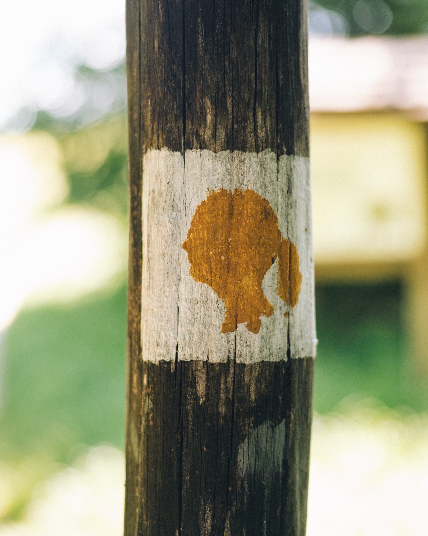 A Jane Goodall tanösvény a budapest II. kerülteben