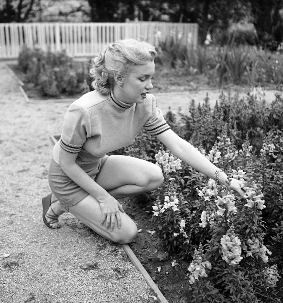 Marilyn egy visszafogott szettben Johnny Hyde hollywoodi ügynök Beverly Hills-i otthonának kertjében 1950-ben