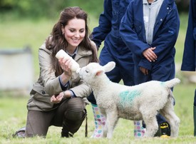 Katalin hercegné barna nadrágban, gumicsizmában és zöld dzsekiben teljesen beleolvad a farmon élők világába – öltözéke és természetes viselkedése is azt sugallja: itt most nem hercegnéként, hanem lelkes önkéntesként van jelen.