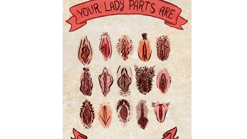 Szereted a nemi szervedet?  - Új trend: kisajak plasztika