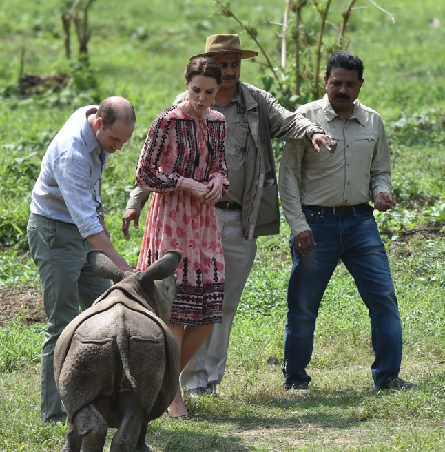 kate middleton, vilmos herceg, turné, india, indiai, bébi elefánt, orrszarvú