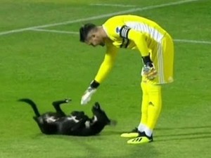 Nem lesz cukibb ma a focipályára szaladó kutyánál