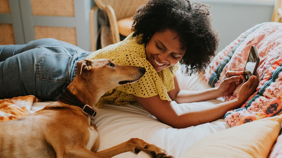 Némelyik ugyan ártalmatlannak tűnhet, de akár a háziállatok egészségébe is kerülhet