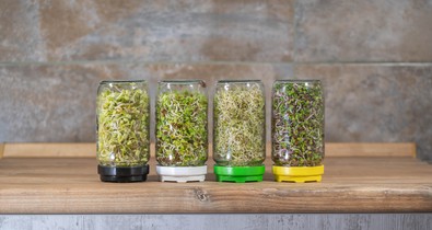 A csíráknál is egészségesebbek, szebbek, finomabbak és színesebbek, na mik azok?