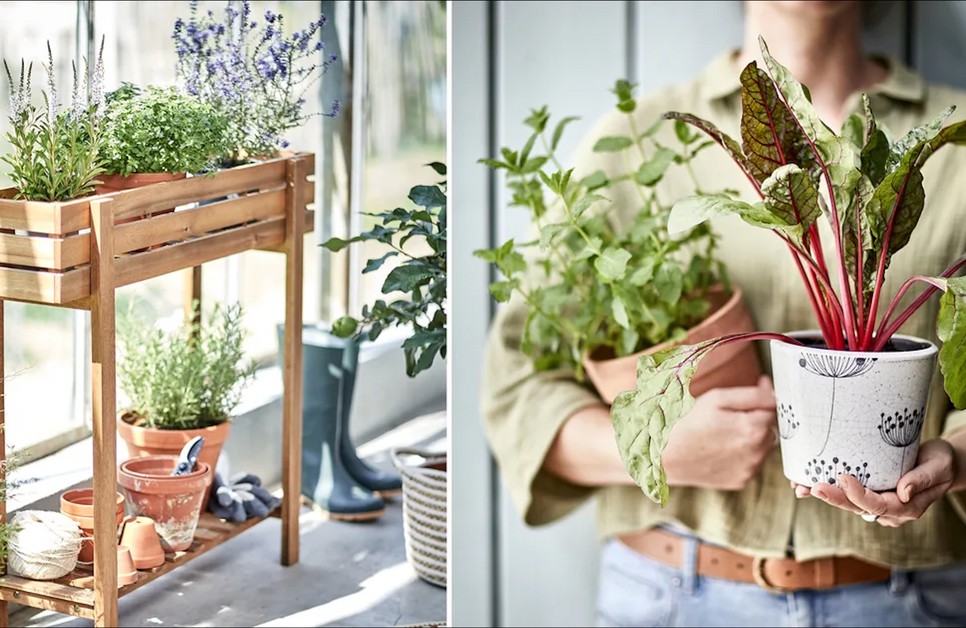 A GLAMOUR-napok alatt nagyon izgalmas dekorációs termékek között válogathatsz