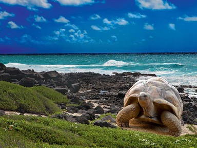 Megtaláltuk az Indiai-óceán egyik legszebb szigetországát - Fedezd fel velünk Mauritius-t!