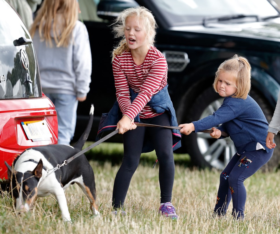 Erzsébet királynő 12 dédunokával büszkélkedhetett - Gyönyörű jelentése van a nevüknek