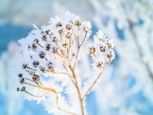A klímaváltozás miatt még durvább fagyok lehetnek hazánkban is