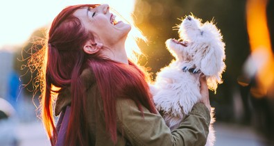 Akár a kutyád életébe is kerülhet ez a betegség, ami az ünnepek alatt alakulhat ki a legkönnyebben