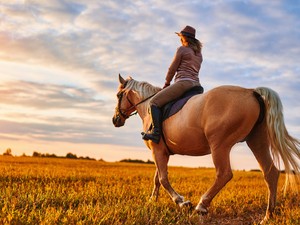 2 évet adtak neki, még 27 évig élt: ezen a napon vágott neki 7000 mérföldes utazásának Mesannie Wilkins